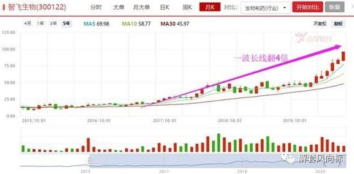 国际商业数字技术(01782)在港股异动中涨幅超过10%，创下历史新高，并在7月以来大涨177%