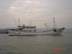大型拖网渔船图片