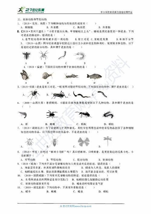 无脊椎动物分类示意图 图片搜索