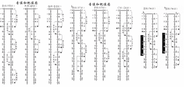 京胡什么叫52弦是什么意思