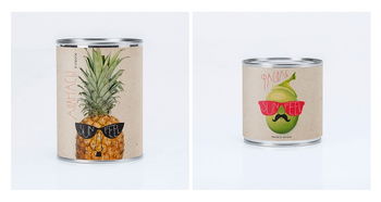 sunfeel水果眼镜胡子先生水果罐头包装设计 上海包装设计公司设计欣赏