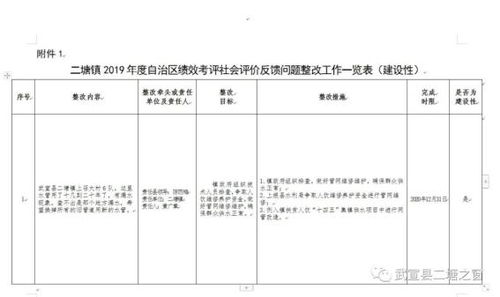 二塘镇2019年度自治区绩效考评 社会评价反馈问题整改方案