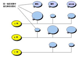 流程管理知识