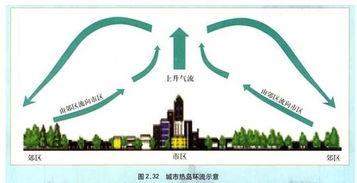 为什么晴天中午的城市热岛效应强度低早上，下午却比较高(为什么白天热岛强度低)