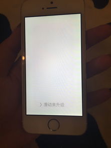 5s 手机为了更新,ios9 变成这样了,屏幕上一直出现 滑动来升级 这几个字样 也滑不动,关机 