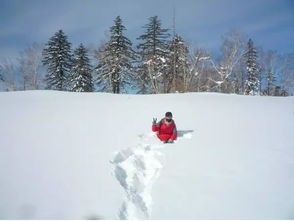冬趣 滑雪 爬雪山,我要浪尽整个冬天 