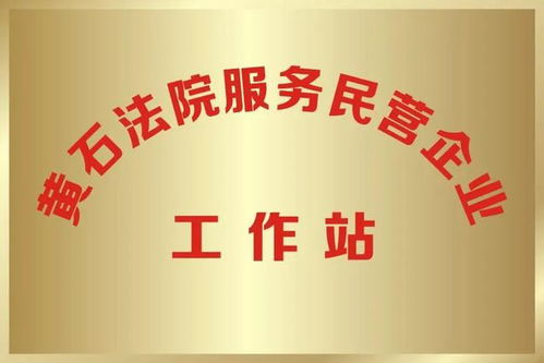 国营企业和民营企业设立的的目的分别是什么？