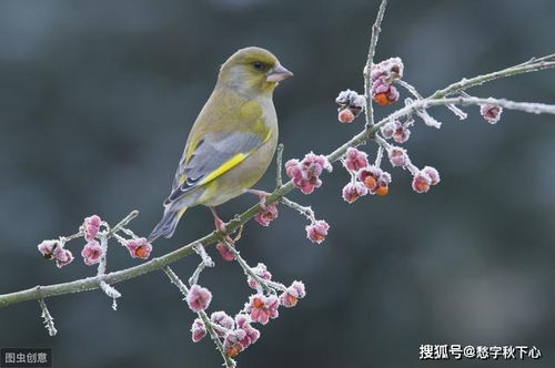 唐朝这位诗人只留下一首诗,短短20字却句句悬念,布局太巧妙