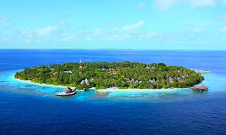 如何选择旅行社预订马尔代夫六星岛酒店游记（马尔代夫七星岛屿排名）