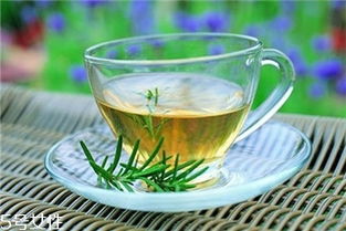 减肥茶什么时候吃最有效,什么时候喝减肥茶最有效