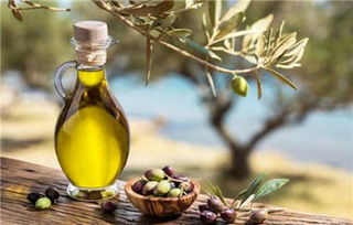 橄榄油有保质期吗 橄榄油保质期怎么看 