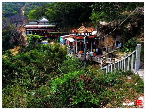 福建龙岩石山园