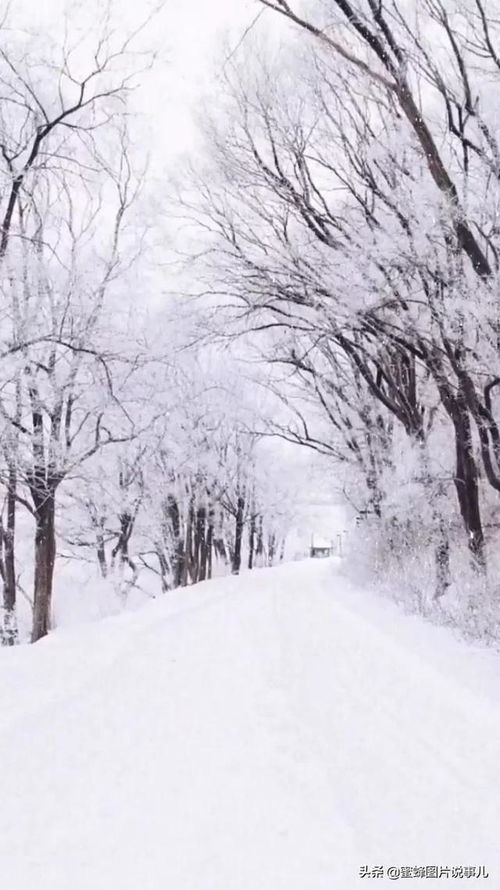 景色手机壁纸雪 搜狗图片搜索