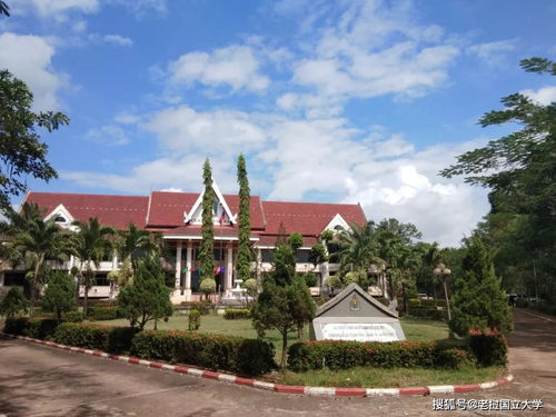 老挝国立大学 缅甸籍留学生代表篇