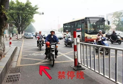 厦门翔安西亭那里可以免费停车(漳州免费停车场都去哪里了)