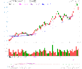 什么是流通股东和非流通股东？个人投资股票算哪一种