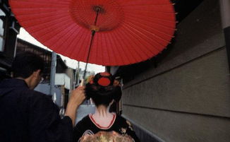 揭开日本艺妓神秘面纱 