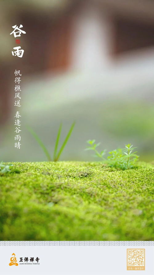 谷雨为何要“吃春”