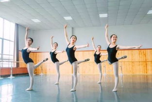 舞蹈艺考生都有哪些专业