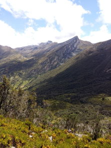 登山如学道，探寻人生高峰的智慧之旅，登山如学道的意思是什么