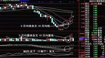 股价突破60月均线，有什么重要意义吗