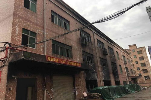 地基下沉房子会倒吗 地基下沉墙面开裂应该怎么补 地基下沉地面开裂怎么办 