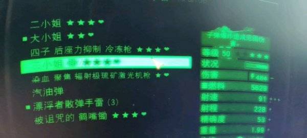 辐射76怎么把物品改成中文名字 改中文名教程
