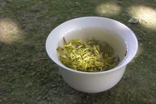 莫干黄芽属于什么茶,黄白绿茶有哪些？