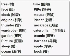 记忆力减退怎么办学习差80 是记忆出了问题 