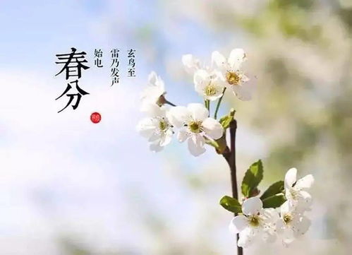 廿四节气 元稹 春分