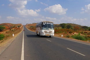 总线,公路,街,印度,车,汽车,马达,自动,驾驶,车道,交通,路,运输,车辆,天空,云,户外,景区,宁静,天气,气象,cloudscape的,环境,自然 