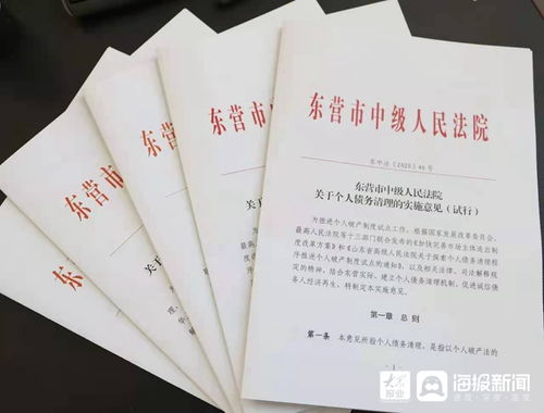 东营中院召开 关于个人债务清理的实施意见 试行 新闻发布会