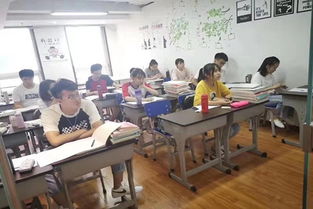 北京艺考生文化课培训班排名