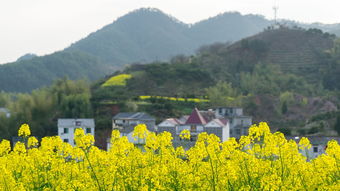  福州周边有哪些自然风景区适合一日游？