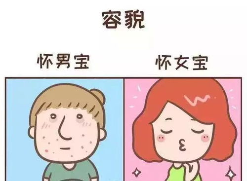 怀女宝和怀男宝的差别,这些小细节妈妈知道吗