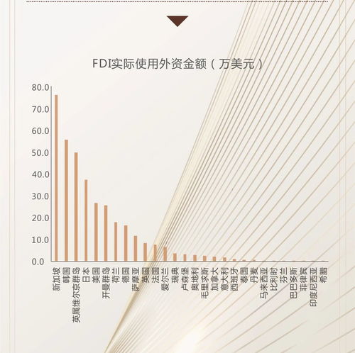 fdi(外商直接投资FDI 水平型和垂直型怎么区分，有什么不同)