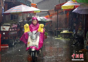 高清组图 广西遭强降雨袭击 民众风雨中出行 