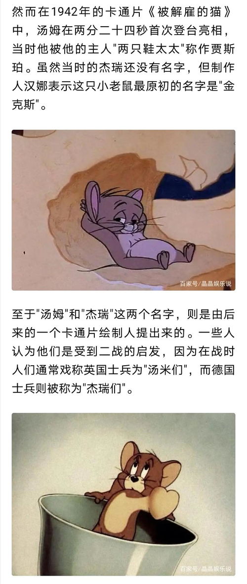 动画冷知识 猫和老鼠的原名居然不是汤姆和杰瑞 