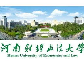 河南财经政法大学教务系统(河南财经政法大学教务管理系统入口地址)