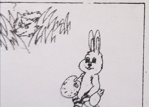 二年级看图写话 聪明的小白兔 小白兔和大灰狼