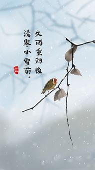 小雪冷知识手绘(小雪科普)