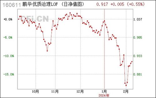 什么是鹏华治理（160611）