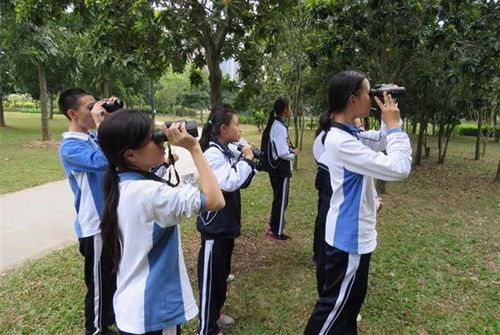 孩子中午没人管 下午放学太早乱跑 深圳教育局推午托服务 四点半活动,遍布十区 