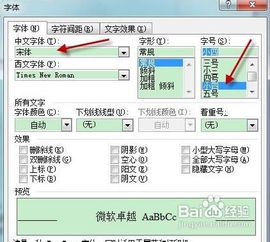 Word2003文档中标题与正文的排版操作 