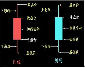 炒股票入门基础知识和技巧