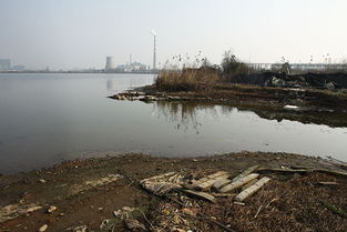武汉南太子湖污染多年 水务局 处理需要一个过程
