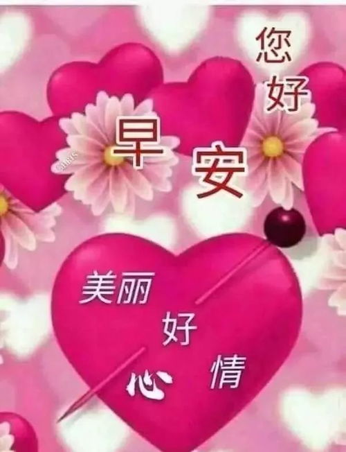 漂亮好看的早上好动态美图鲜花带字,早晨好幸福暖心的问候表情图片