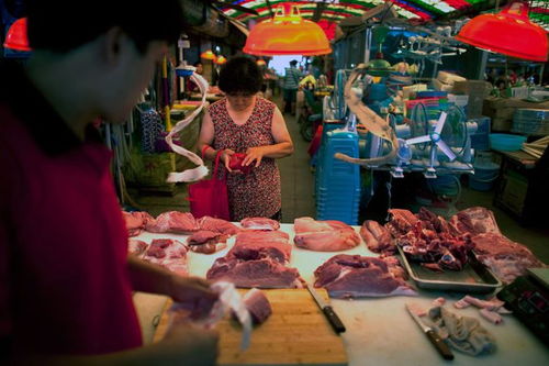 为什么中国专家建议欧洲人少吃肉