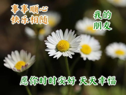 冬天清晨的祝福短句