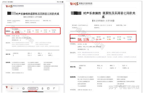 论文查重改中间的字